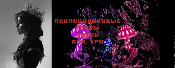 стафф Гусь-Хрустальный