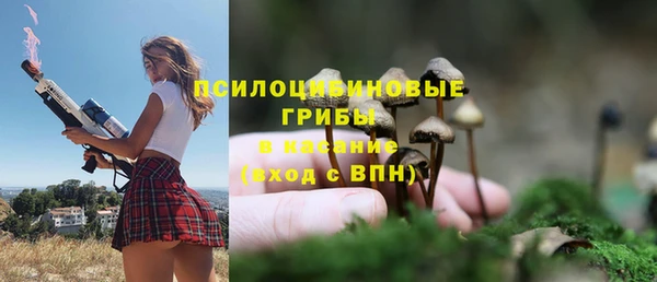 стафф Гусь-Хрустальный