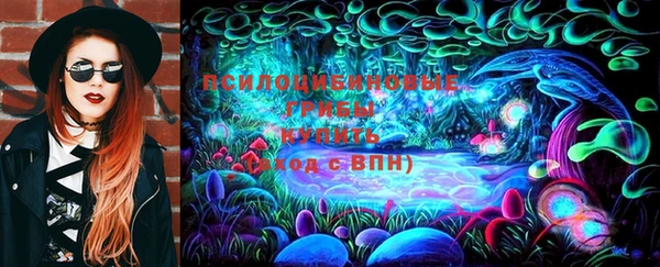 ПСИЛОЦИБИНОВЫЕ ГРИБЫ Гусиноозёрск