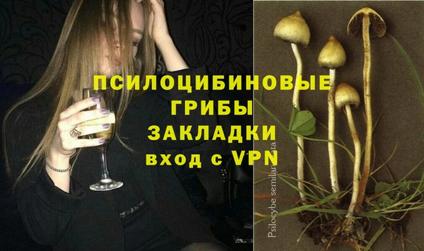 стафф Гусь-Хрустальный