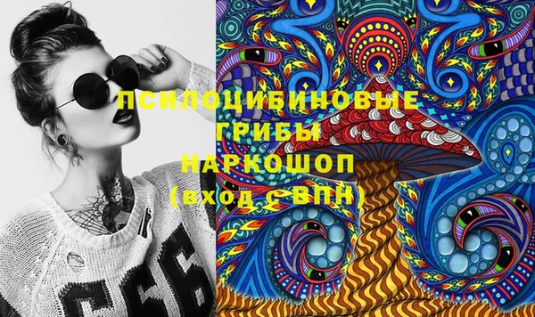 стафф Гусь-Хрустальный