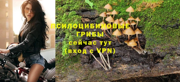 ПСИЛОЦИБИНОВЫЕ ГРИБЫ Гусиноозёрск